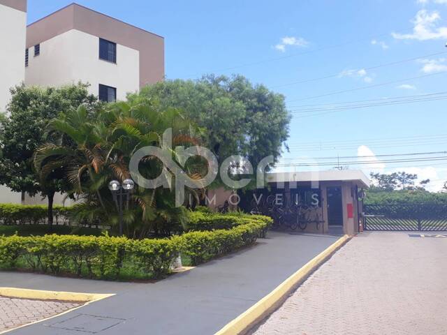 #107 - Apartamento para Venda em São Carlos - SP - 2