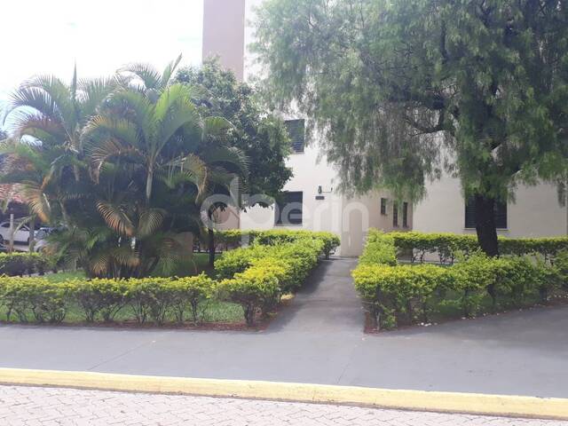 Apartamento para Venda em São Carlos - 4