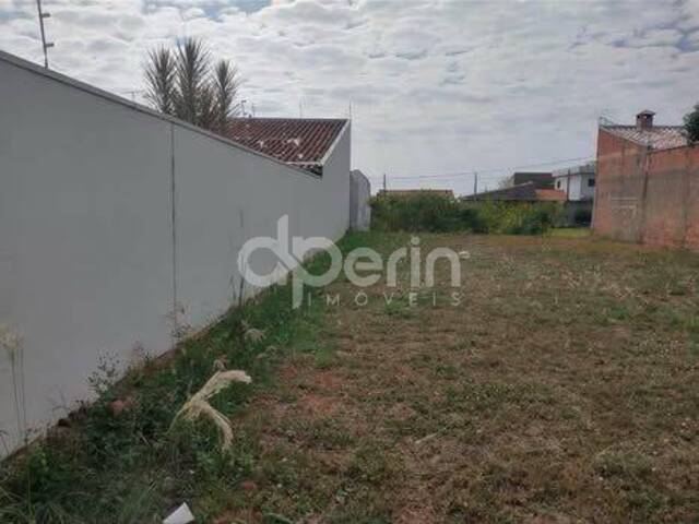 #109 - Área para Venda em São Carlos - SP - 3