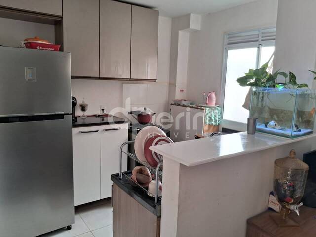 #113 - Apartamento para Venda em São Carlos - SP - 1