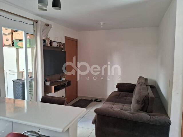 #113 - Apartamento para Venda em São Carlos - SP - 3