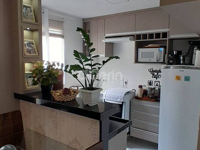 #185 - Apartamento para Venda em São Carlos - SP - 2