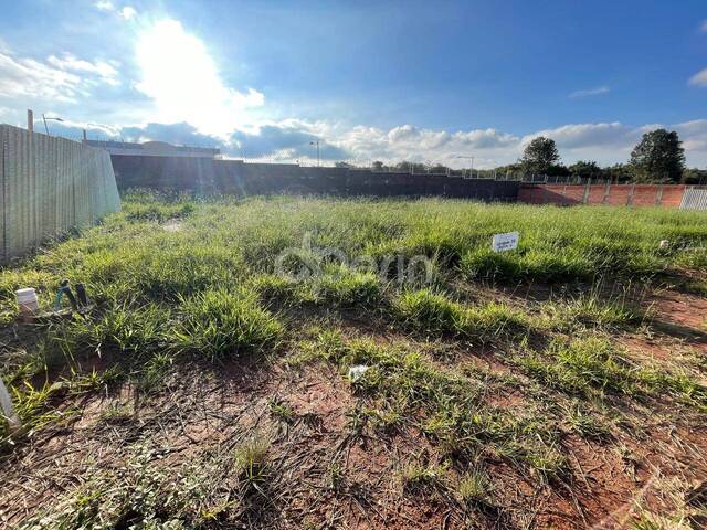 Área para Venda em São Carlos - 4