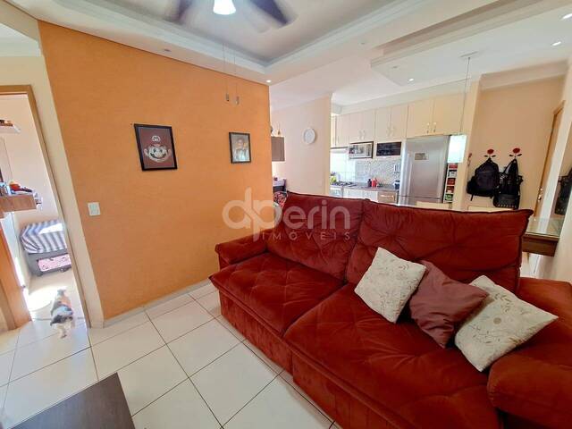 Apartamento para Venda em São Carlos - 5