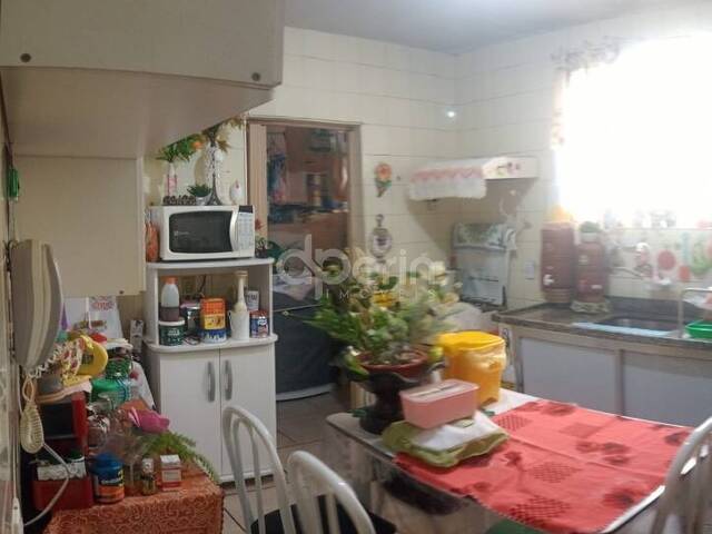 Apartamento para Venda em São Carlos - 5