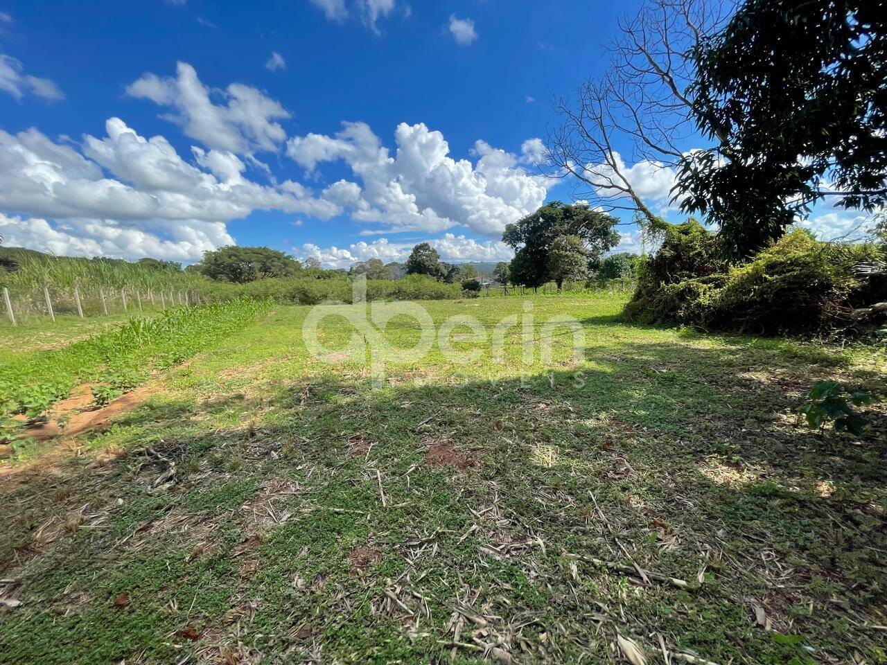 Sítio, 4 quartos, 5061 m² - Foto 23